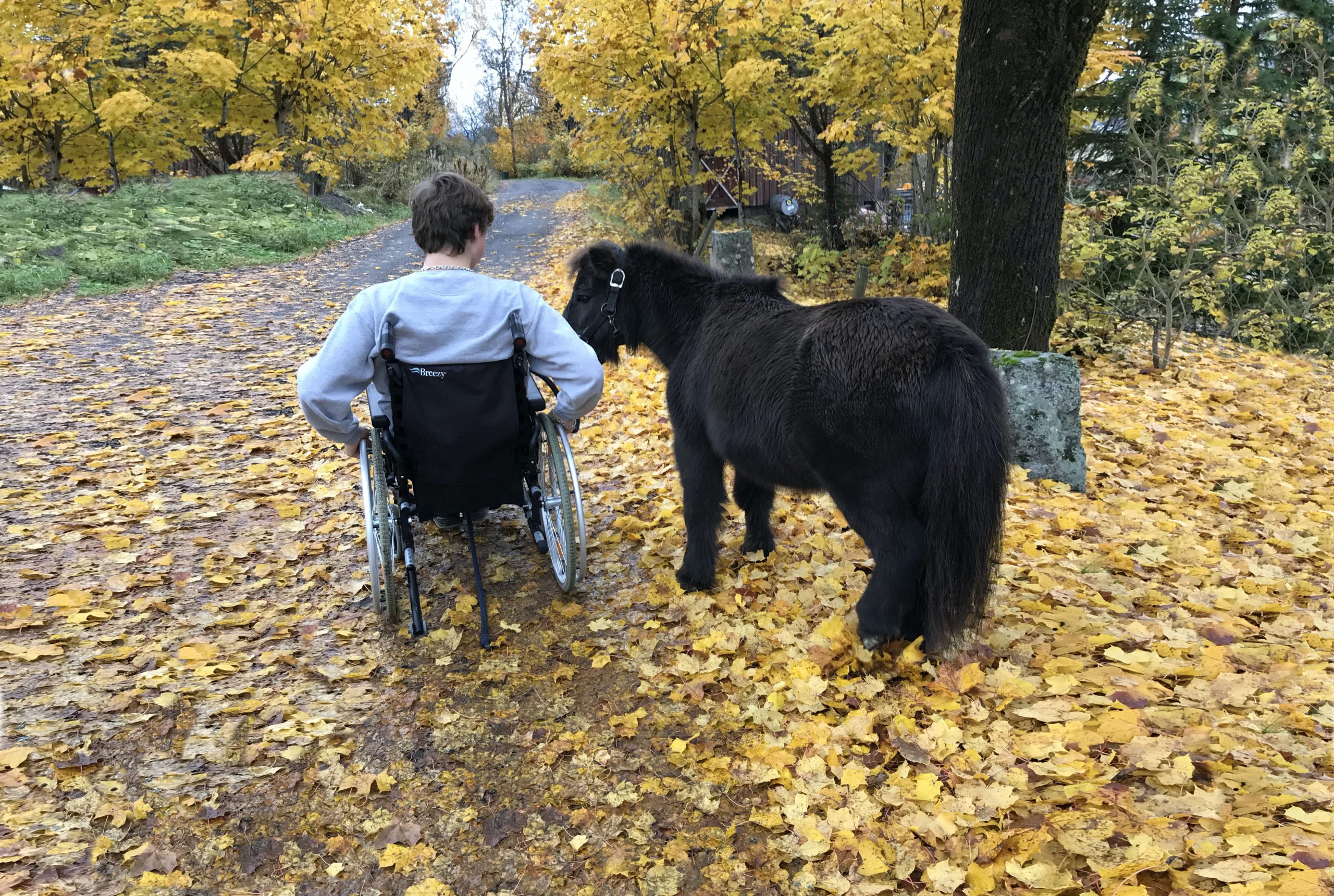 Skole og oppvekst Skole og oppvekst